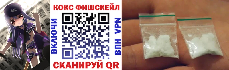 Кокаин FishScale  Купить где  Карачаевск 