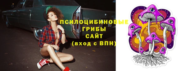 2c-b Гусев