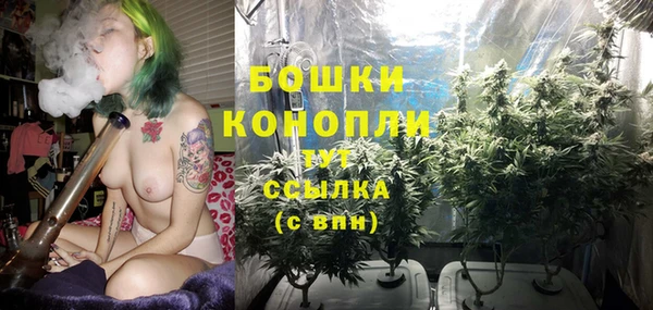 2c-b Гусев