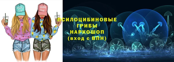 гашик Гусиноозёрск