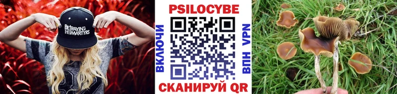 Купить где  Карачаевск  Псилоцибиновые грибы Psilocybine cubensis 