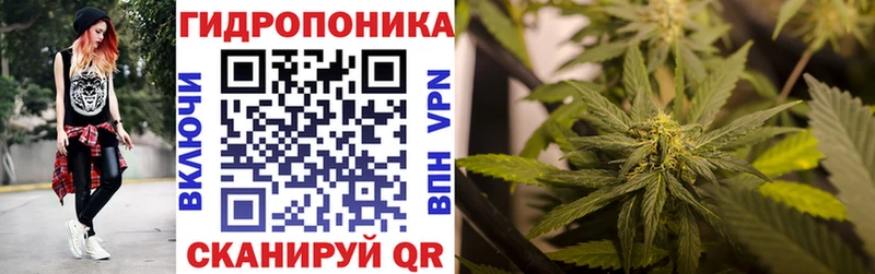 Шишки марихуана индика Карачаевск